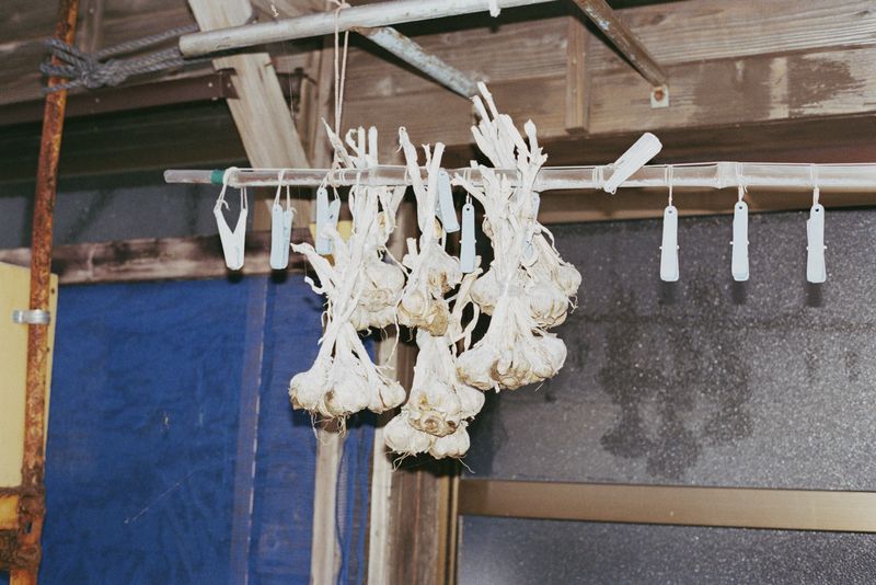 © Silvia Kyou - Image from the The soil remembers photography project