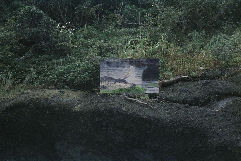 © Silvia Kyou - Image from the The soil remembers photography project