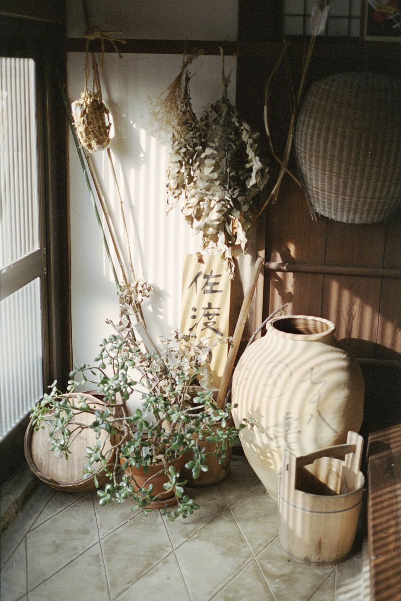 © Silvia Kyou - Image from the The soil remembers photography project