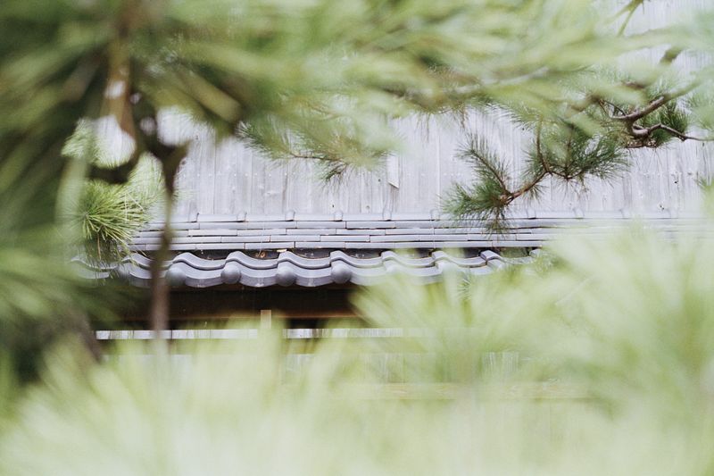 © Silvia Kyou - Image from the The soil remembers photography project