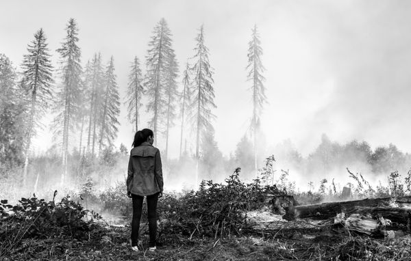 © Nikolay Epifanov - First Fire. Targeted burning of forests to clear the area for the development of a residential quarter. Moscow region, 2015.