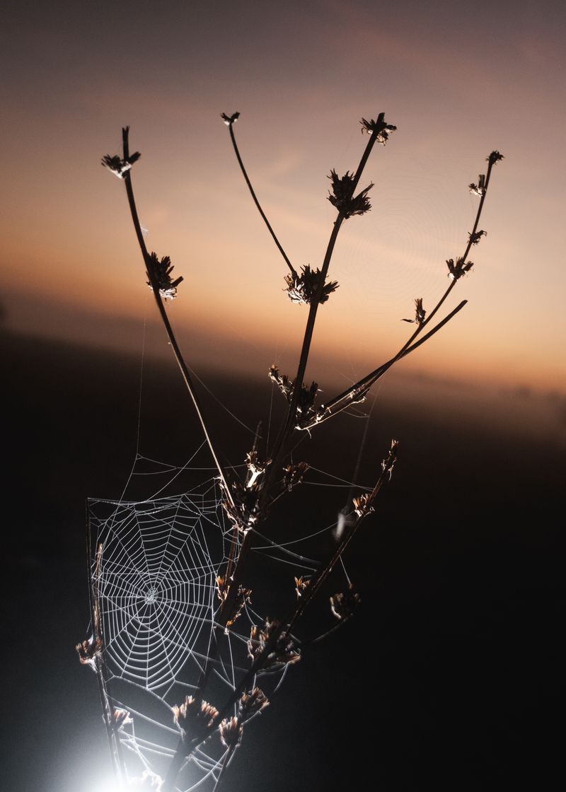 © János R. Szabó - Image from the Stories along the Öreg-Túr River photography project