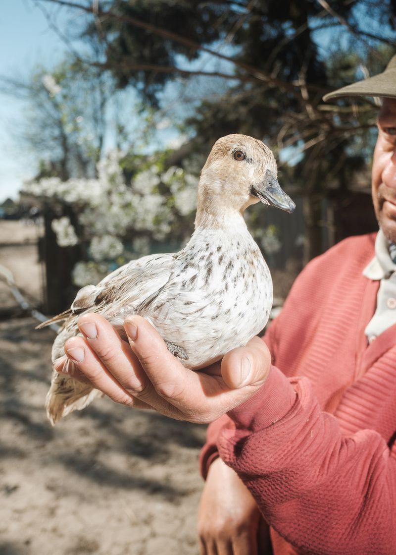 © János R. Szabó - Image from the Stories along the Öreg-Túr River photography project