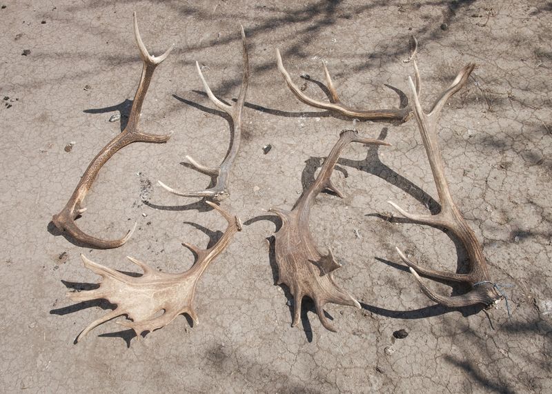 © János R. Szabó - Image from the Stories along the Öreg-Túr River photography project