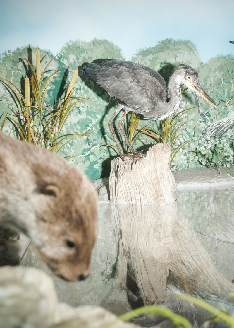 © János R. Szabó - Image from the Stories along the Öreg-Túr River photography project