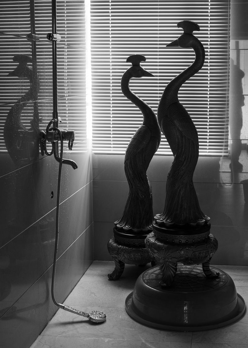 © Zhidong Zhang - Shower Birds, 2020