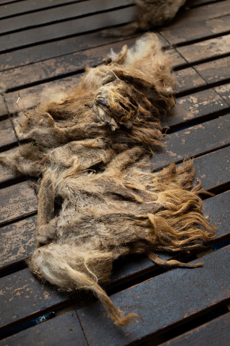 © Michele Rubino - Image from the The heart of the valley photography project