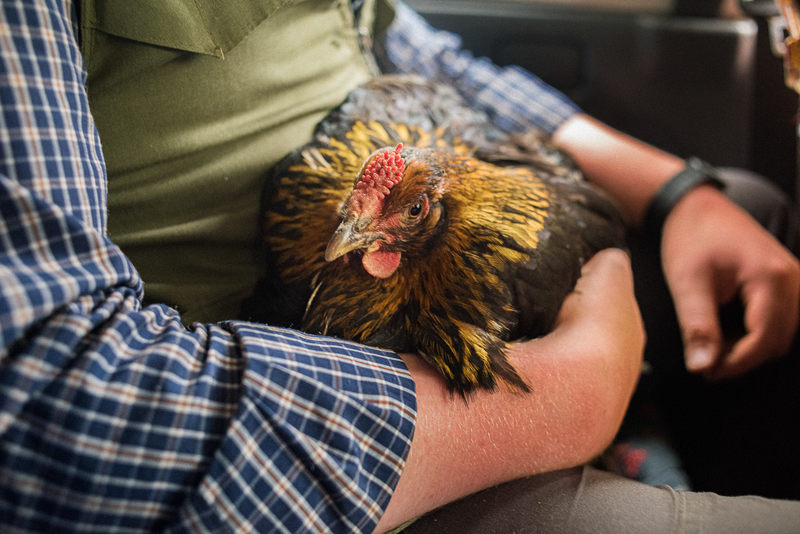 © Michele Rubino - Image from the The heart of the valley photography project