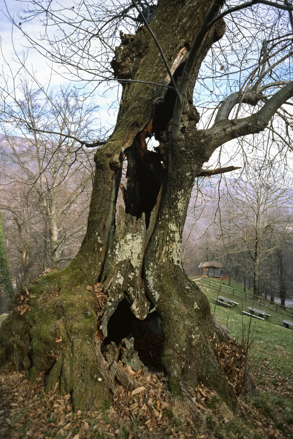 © Michele Rubino - Image from the The heart of the valley photography project