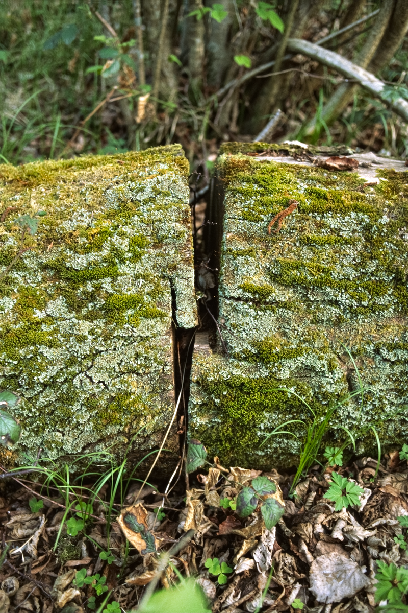 © Michele Rubino - Image from the The heart of the valley photography project