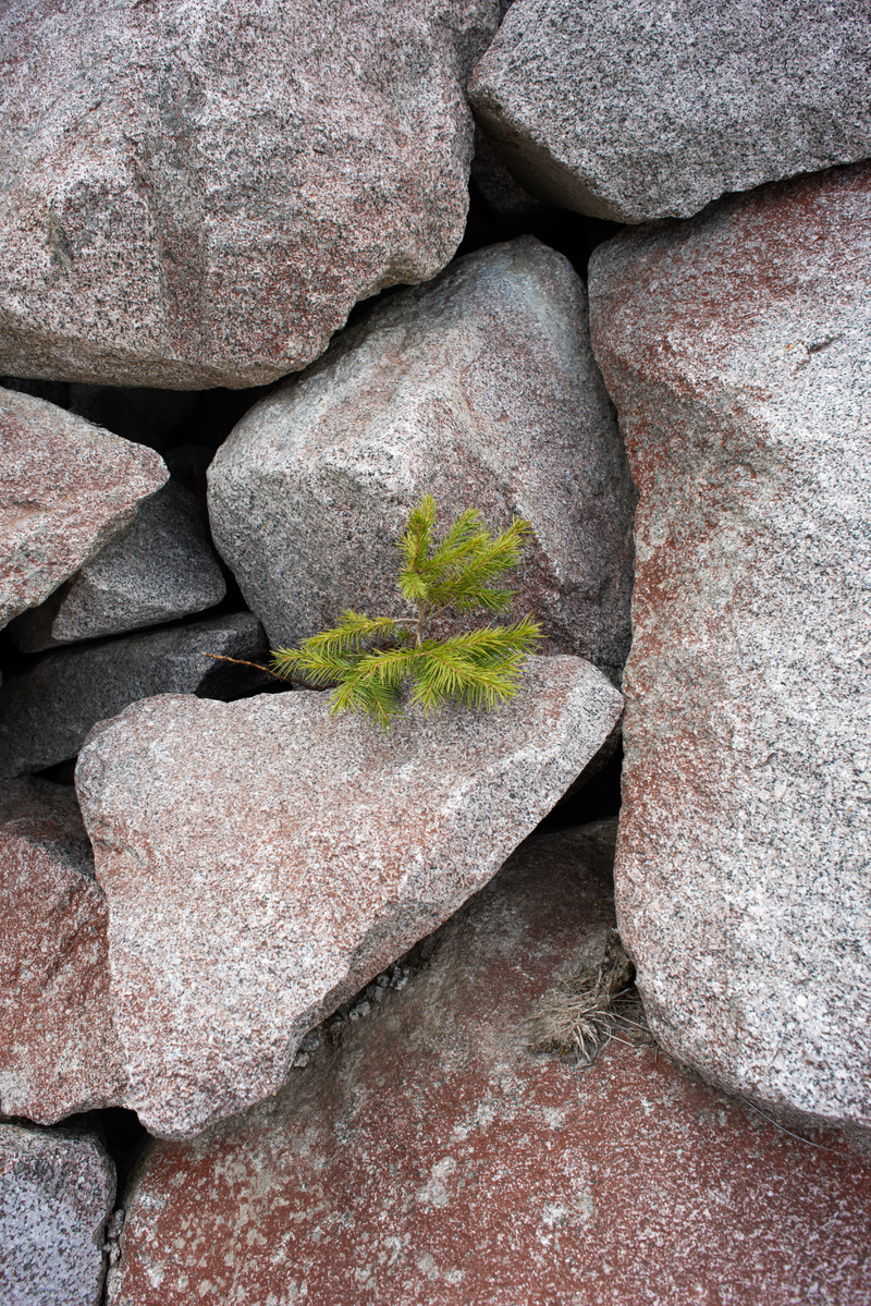 © Michele Rubino - Image from the The heart of the valley photography project