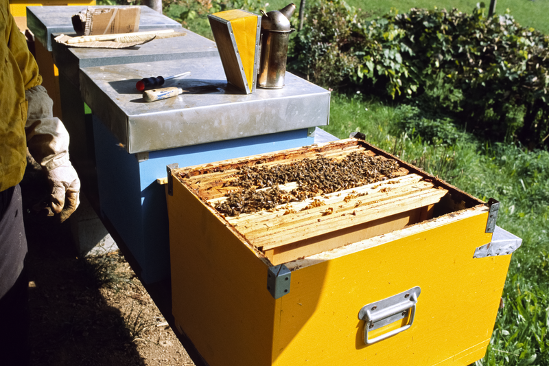 © Michele Rubino - Image from the The heart of the valley photography project