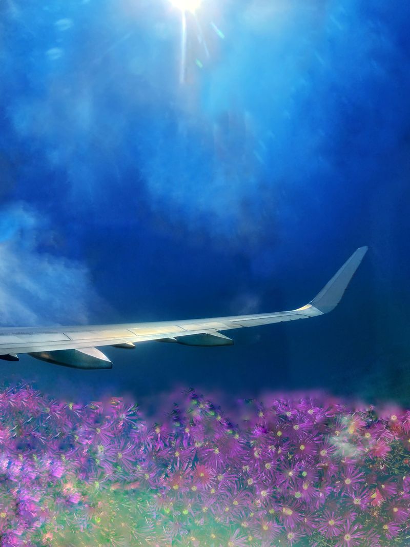 © Amanda Witt - Image from the 35k photography project