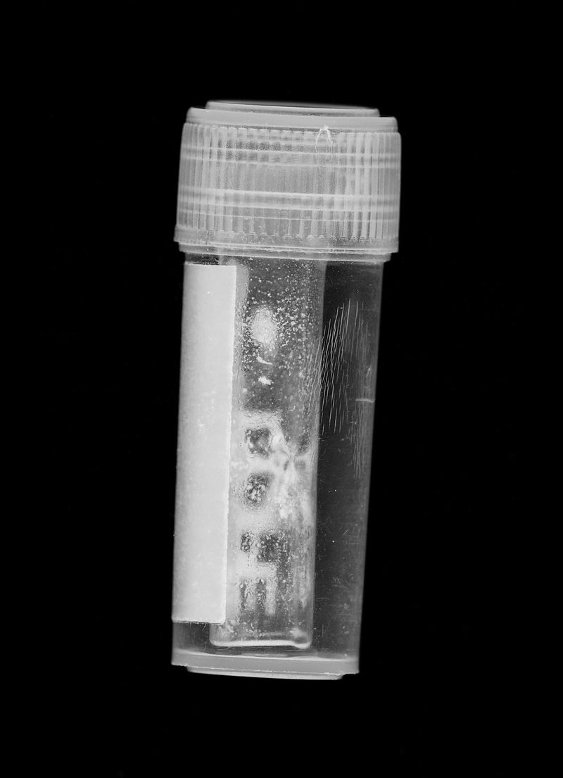 © Krzysztof Winciorek - Image from the Hidden Attributes photography project