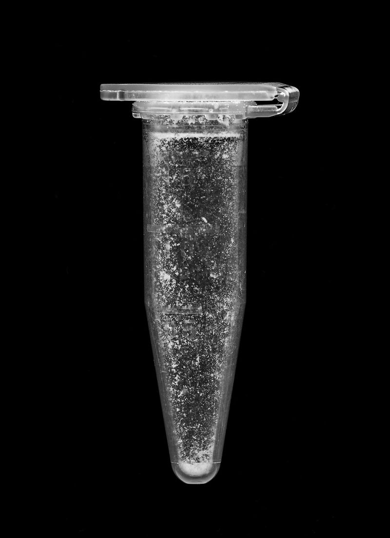 © Krzysztof Winciorek - Image from the Hidden Attributes photography project