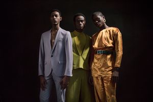 The Diversity of Black Men