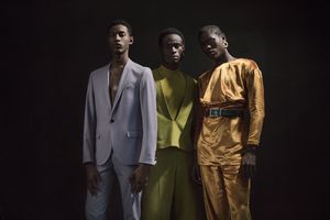 The Diversity of Black Men