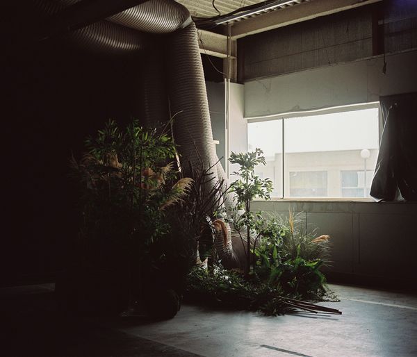 © carla oset - Image from the Background photography project