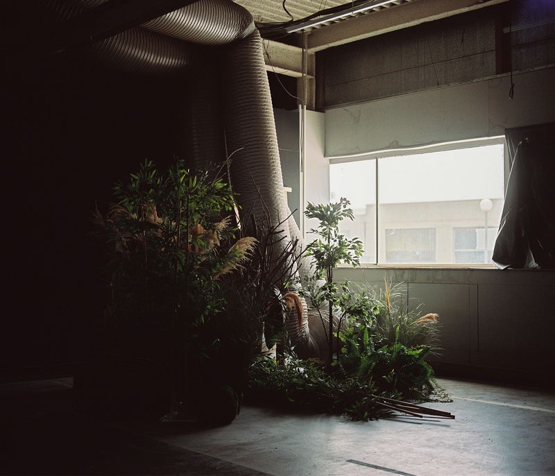 © carla oset - Image from the Background photography project