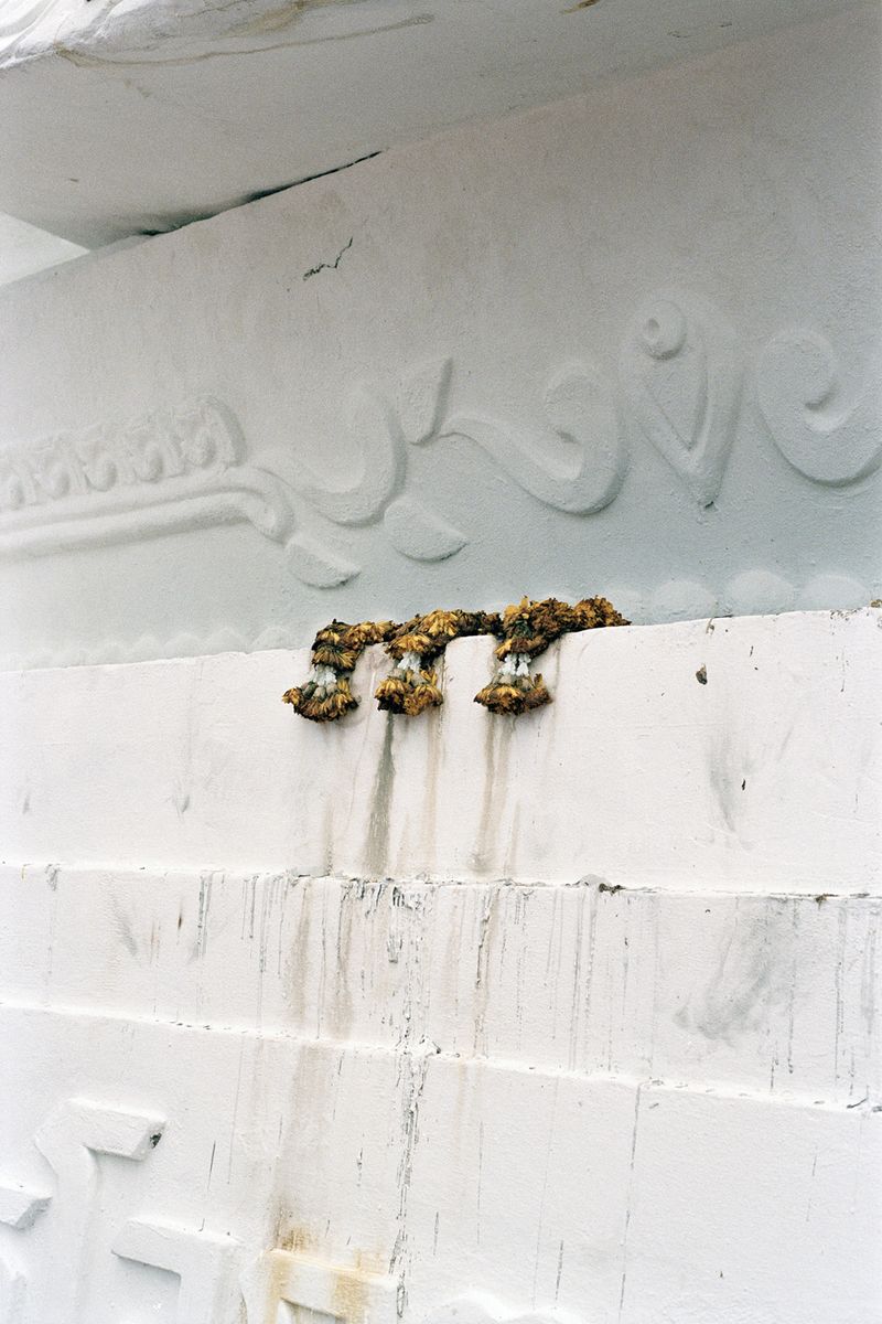 © carla oset - Image from the My beloved king photography project