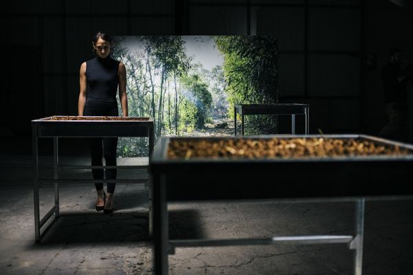 © Silvio Rusmigo - Troughs filled with red soil, featured in the exhibition and the audio-visual element (documentary)