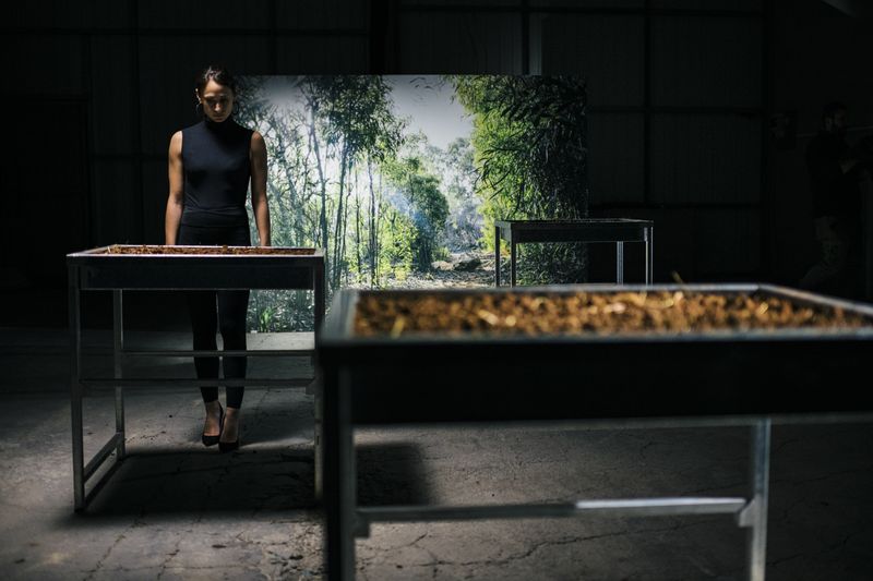 © Silvio Rusmigo - Troughs filled with red soil, featured in the exhibition and the audio-visual element (documentary)