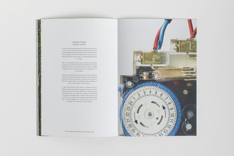 © Silvio Rusmigo - Spread from 'Kochinohoma - Red Soil' book featuring play between image and text, the hunter and prey