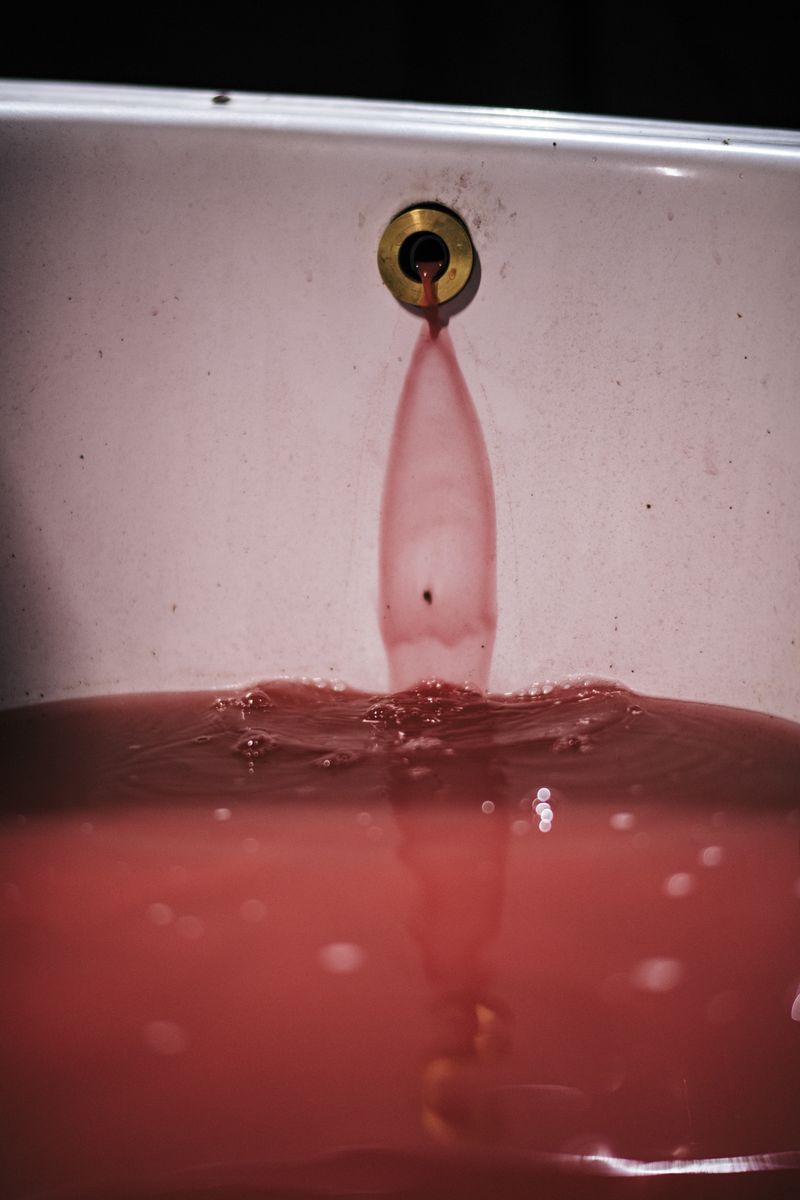 © Silvio Rusmigo - Blood-bath featured in the exhibition and the audio-visual element (documentary)