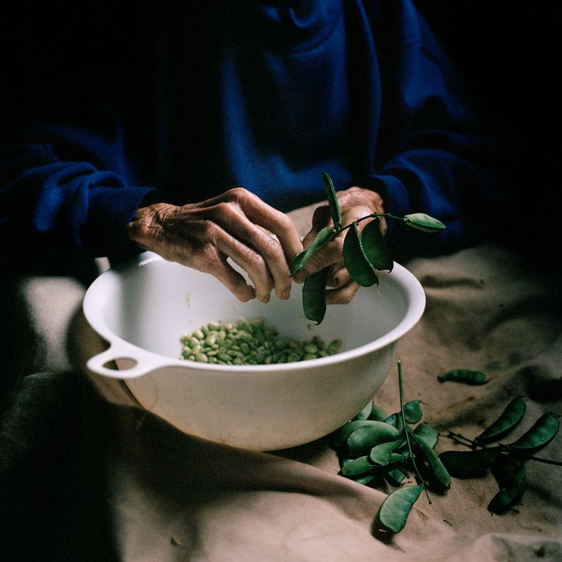 © Rhiannon Adam - Image from the Big Fence / Pitcairn Island photography project