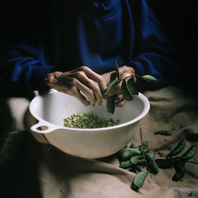 © Rhiannon Adam - Image from the Big Fence / Pitcairn Island photography project