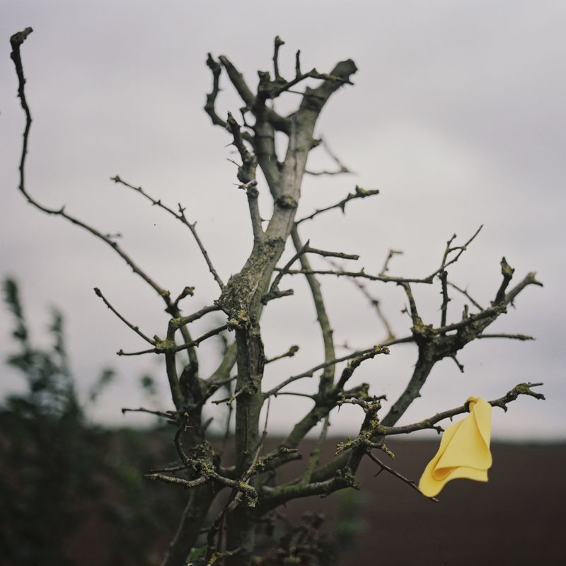 © Rhiannon Adam - Image from the The Rift. photography project