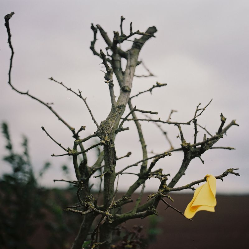 © Rhiannon Adam - Image from the The Rift. photography project