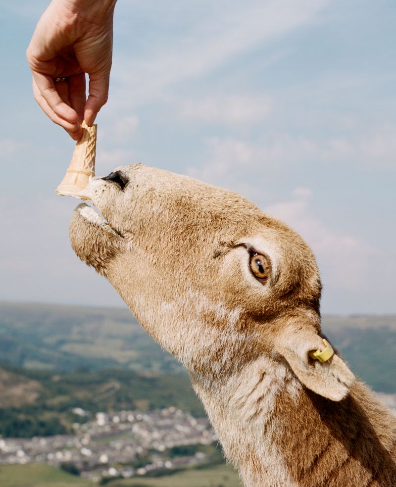 © Rhiannon Adam - Image from the Don't Push Me 'Cos I'm Close to the Edge photography project