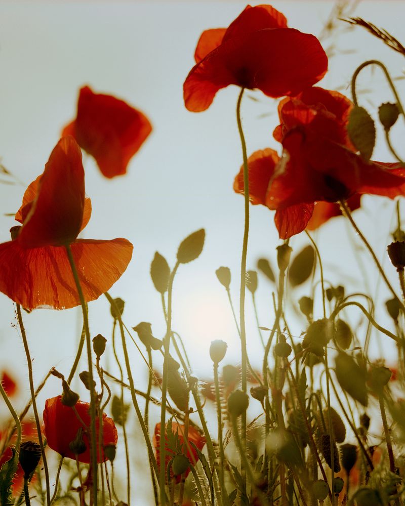 © Rhiannon Adam - Image from the Don't Push Me 'Cos I'm Close to the Edge photography project