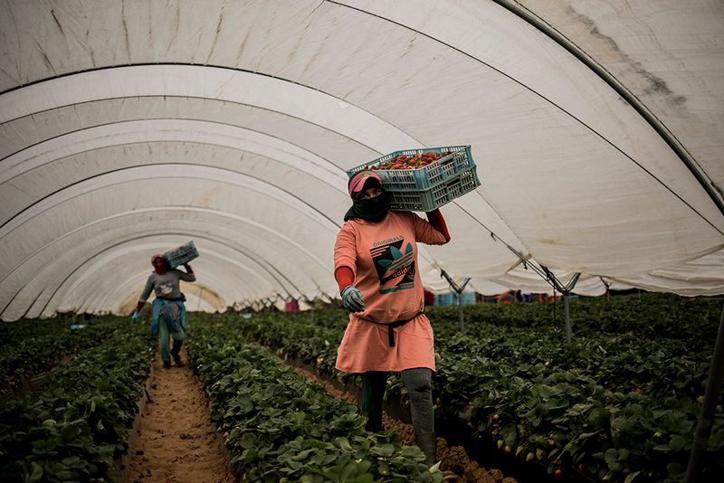 © Javier Fergo - Image from the Long Strait -Present Continuous- photography project