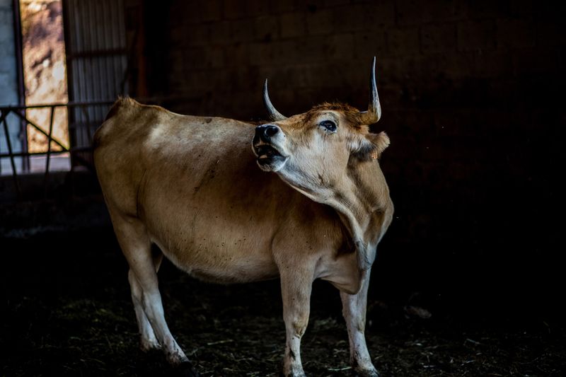 © Javier Fergo - Image from the Mugeres photography project