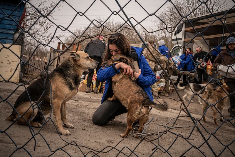 © Javier Fergo - Image from the Ukrainian refugee animals photography project