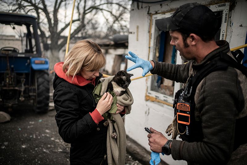 © Javier Fergo - Image from the Ukrainian refugee animals photography project