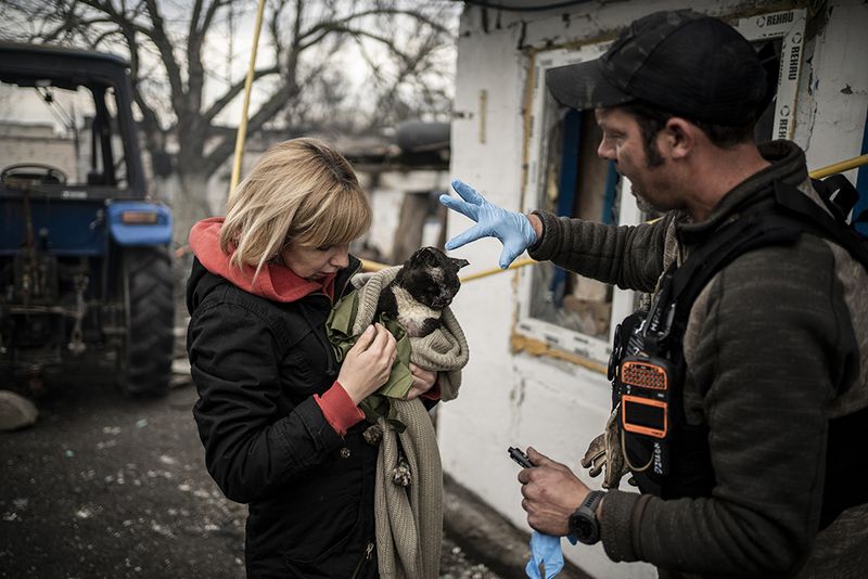 © Javier Fergo - Image from the Ukrainian refugee animals photography project