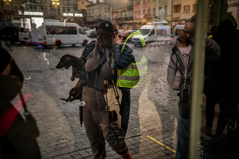 © Javier Fergo - Image from the Ukrainian refugee animals photography project