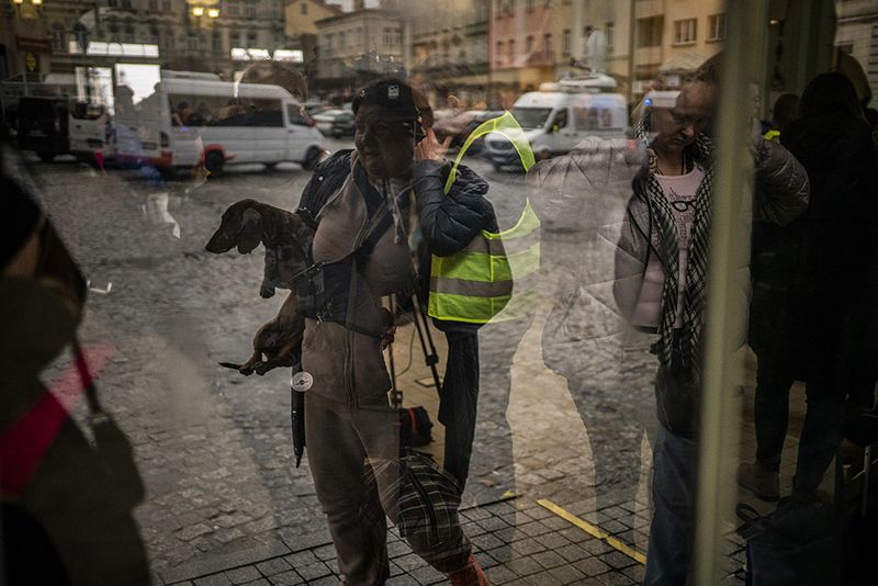© Javier Fergo - Image from the Ukrainian refugee animals photography project