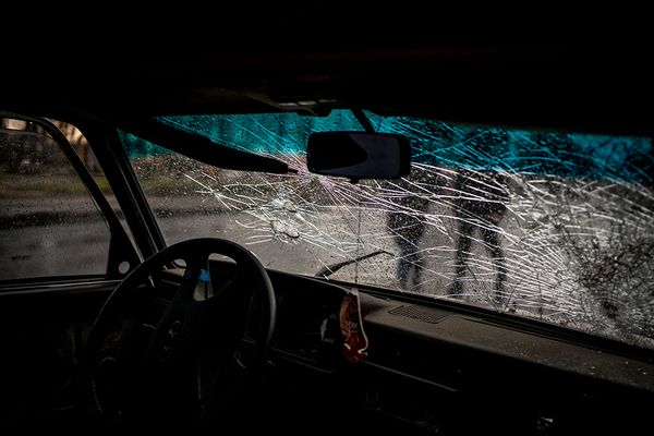 © Javier Fergo - Image from the Ukrainian refugee animals photography project