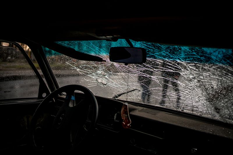 © Javier Fergo - Image from the Ukrainian refugee animals photography project