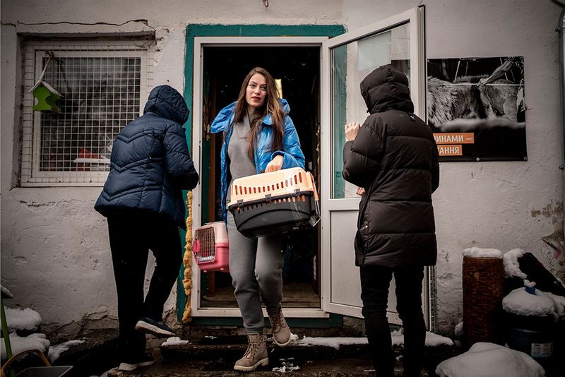 © Javier Fergo - Image from the Ukrainian refugee animals photography project