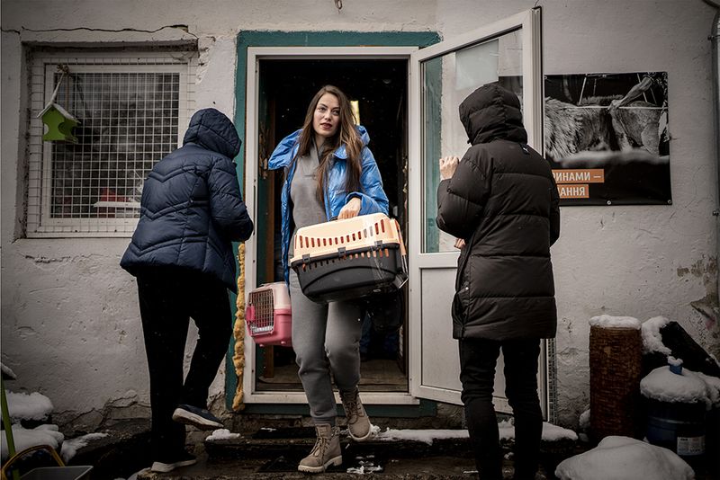 © Javier Fergo - Image from the Ukrainian refugee animals photography project