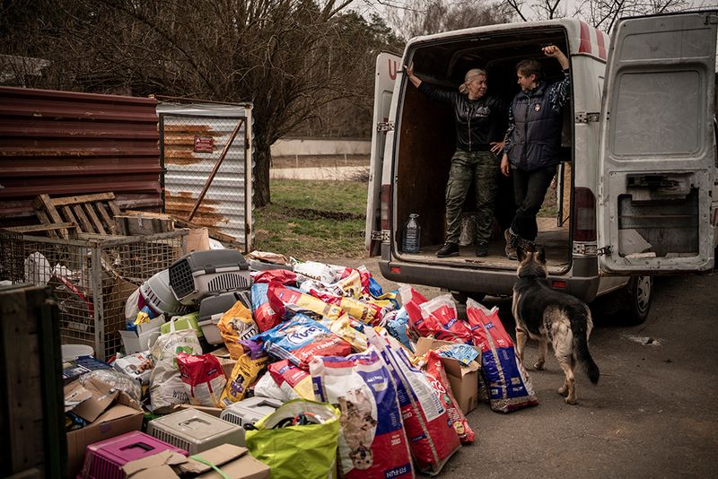 © Javier Fergo - Image from the Ukrainian refugee animals photography project