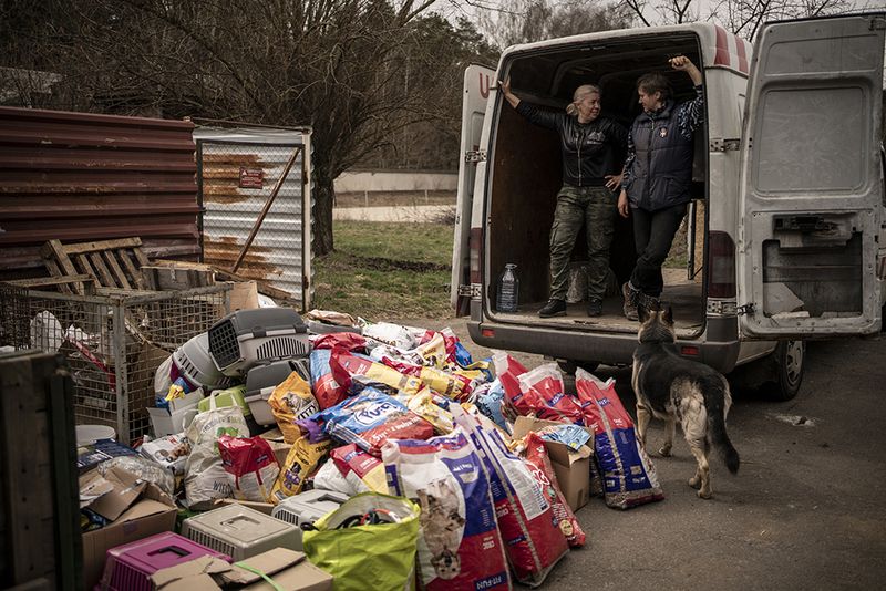 © Javier Fergo - Image from the Ukrainian refugee animals photography project