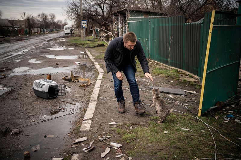 © Javier Fergo - Image from the Ukrainian refugee animals photography project