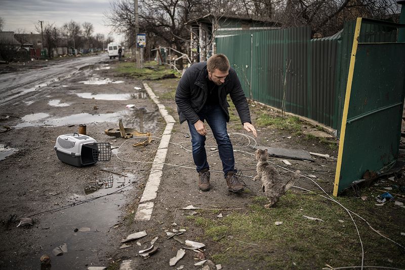 © Javier Fergo - Image from the Ukrainian refugee animals photography project