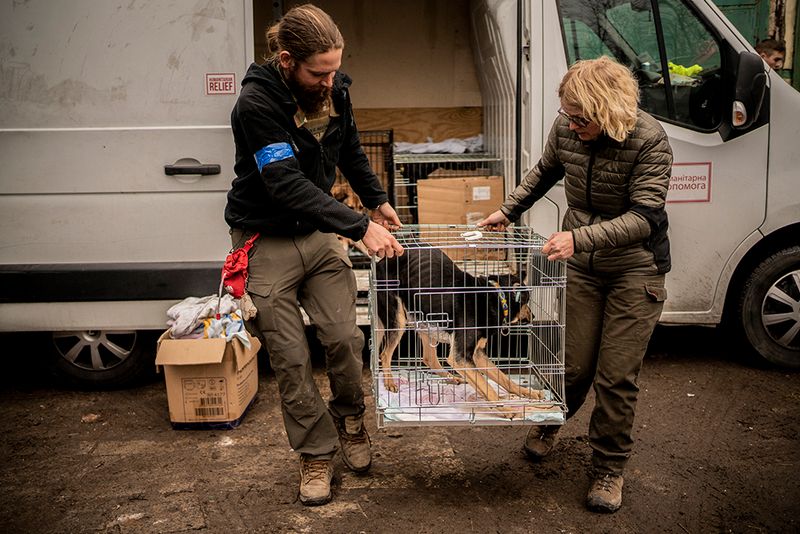 © Javier Fergo - Image from the Ukrainian refugee animals photography project